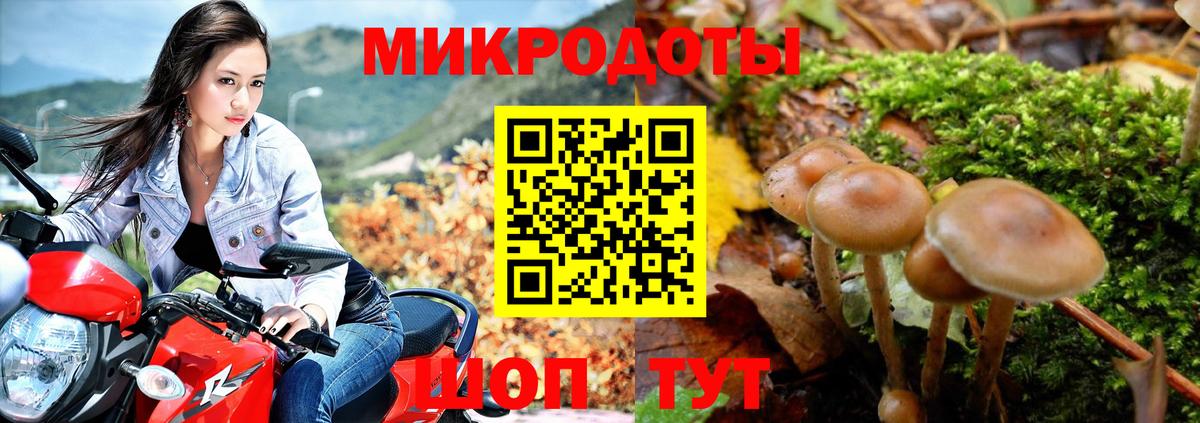 Галлюциногенные грибы Magic Shrooms  Псилоцибиновые грибы мухоморы  где можно купить   Сургут  Вход с VPN 