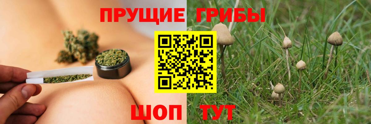Псилоцибиновые грибы мухоморы Сургут